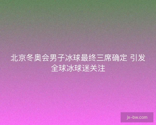 北京冬奥会男子冰球最终三席确定 引发全球冰球迷关注